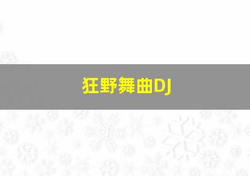 狂野舞曲DJ