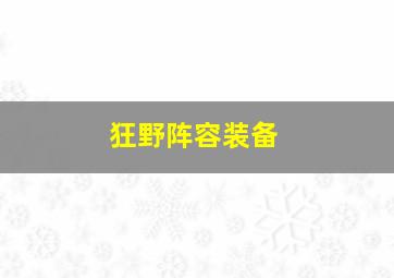 狂野阵容装备