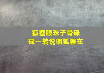 狐狸眼珠子骨碌碌一转说明狐狸在