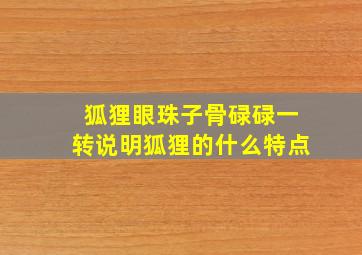 狐狸眼珠子骨碌碌一转说明狐狸的什么特点