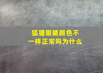 狐狸眼睛颜色不一样正常吗为什么