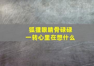 狐狸眼睛骨碌碌一转心里在想什么