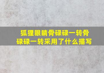 狐狸眼睛骨碌碌一转骨碌碌一转采用了什么描写