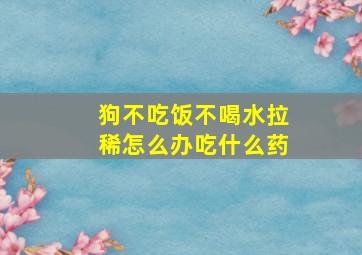 狗不吃饭不喝水拉稀怎么办吃什么药