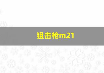 狙击枪m21