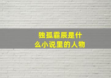 独孤霸辰是什么小说里的人物