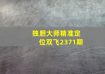 独胆大师精准定位双飞2371期