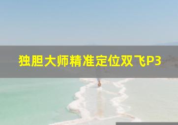 独胆大师精准定位双飞P3