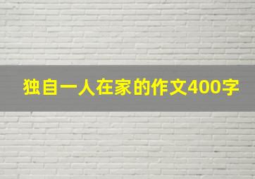 独自一人在家的作文400字