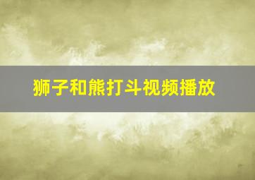 狮子和熊打斗视频播放