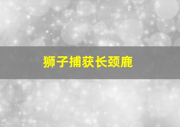 狮子捕获长颈鹿