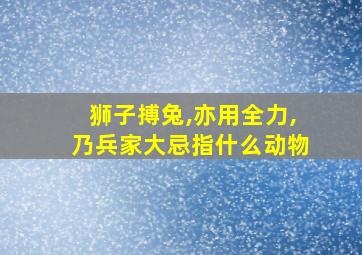 狮子搏兔,亦用全力,乃兵家大忌指什么动物