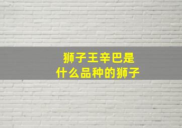 狮子王辛巴是什么品种的狮子