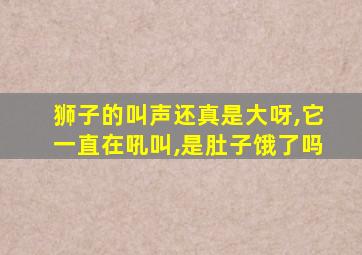 狮子的叫声还真是大呀,它一直在吼叫,是肚子饿了吗