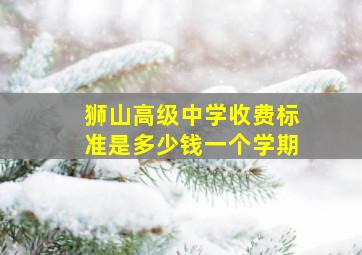 狮山高级中学收费标准是多少钱一个学期