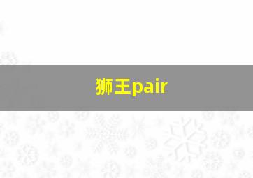 狮王pair