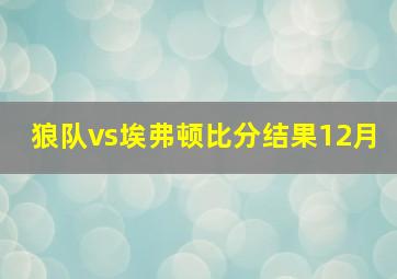 狼队vs埃弗顿比分结果12月