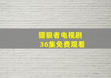 猎狼者电视剧36集免费观看