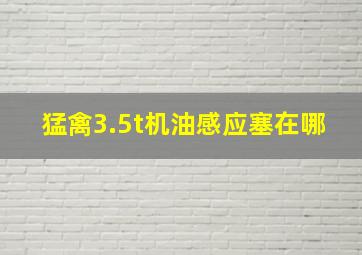 猛禽3.5t机油感应塞在哪