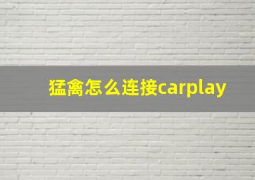 猛禽怎么连接carplay