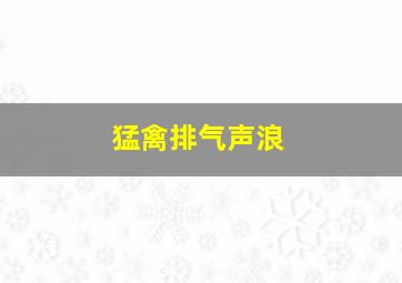 猛禽排气声浪