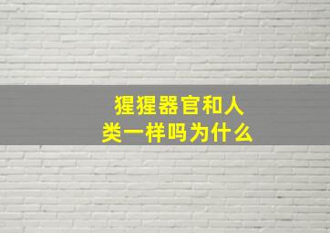 猩猩器官和人类一样吗为什么