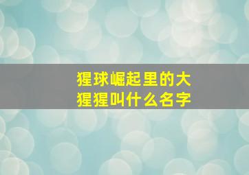 猩球崛起里的大猩猩叫什么名字