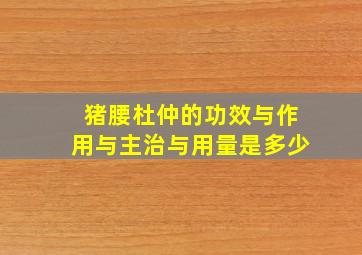 猪腰杜仲的功效与作用与主治与用量是多少