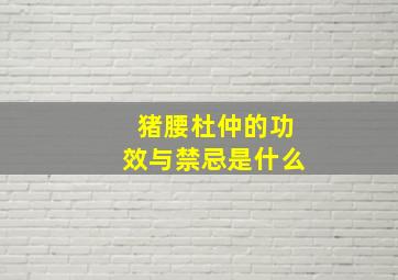 猪腰杜仲的功效与禁忌是什么