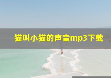 猫叫小猫的声音mp3下载