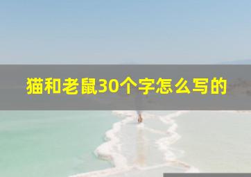 猫和老鼠30个字怎么写的