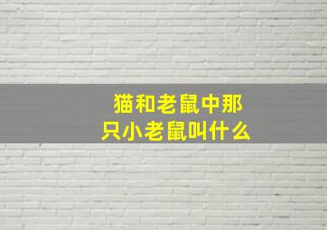 猫和老鼠中那只小老鼠叫什么