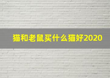 猫和老鼠买什么猫好2020