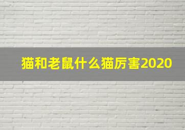 猫和老鼠什么猫厉害2020