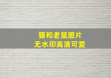 猫和老鼠图片无水印高清可爱