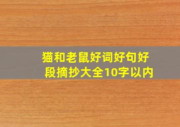 猫和老鼠好词好句好段摘抄大全10字以内