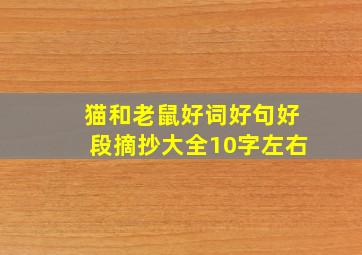 猫和老鼠好词好句好段摘抄大全10字左右