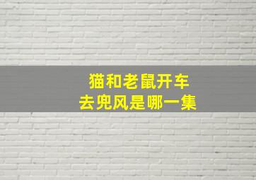 猫和老鼠开车去兜风是哪一集