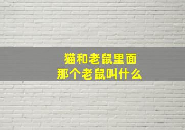 猫和老鼠里面那个老鼠叫什么