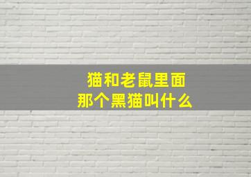 猫和老鼠里面那个黑猫叫什么