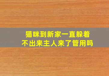 猫咪到新家一直躲着不出来主人来了管用吗