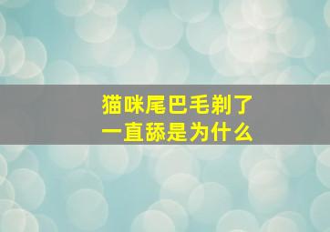 猫咪尾巴毛剃了一直舔是为什么