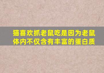 猫喜欢抓老鼠吃是因为老鼠体内不仅含有丰富的蛋白质