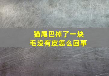 猫尾巴掉了一块毛没有皮怎么回事