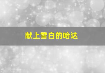 献上雪白的哈达