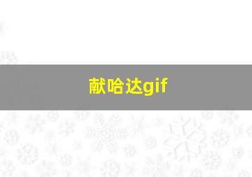 献哈达gif