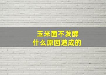 玉米面不发酵什么原因造成的