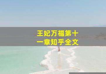 王妃万福第十一章知乎全文