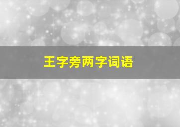 王字旁两字词语