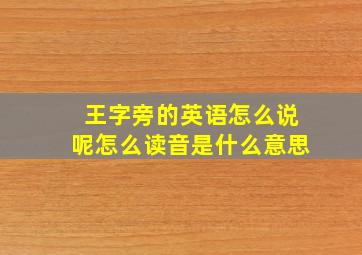 王字旁的英语怎么说呢怎么读音是什么意思